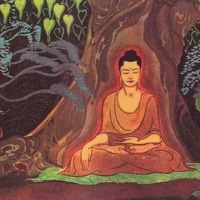 Siddhartha sits under the bodhi tree.
