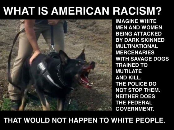 american-racism-attack-dogs-001